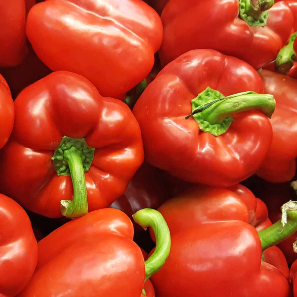 Paprika - California Wonder - 0.5 gr