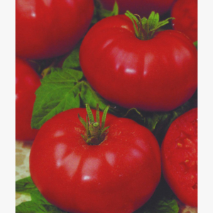Paradicsom - Marmande - 0.5 gr
