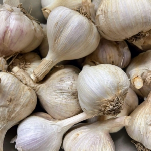 Bátyai Őszi fokhagyma dughagyma (250 g) – Tájjellegű, kimagasló minőség