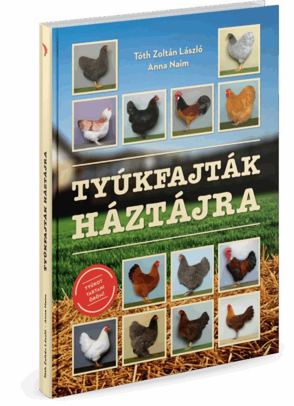 Tóth Zoltán: Tyúkfajták háztájra - Image 3