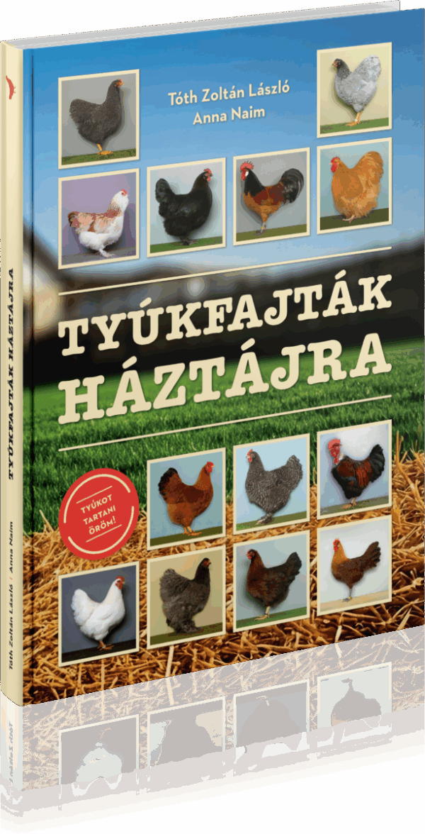 Tóth Zoltán: Tyúkfajták háztájra