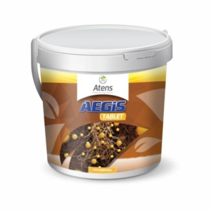 Aegis tabletta 10 darabos