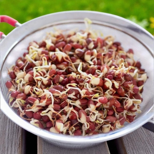 Azuki bab csíramag 100 g