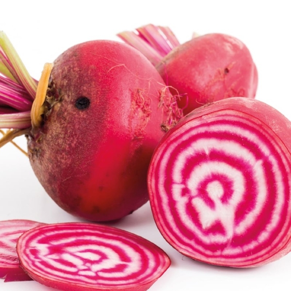 Cékla Chioggia BIO