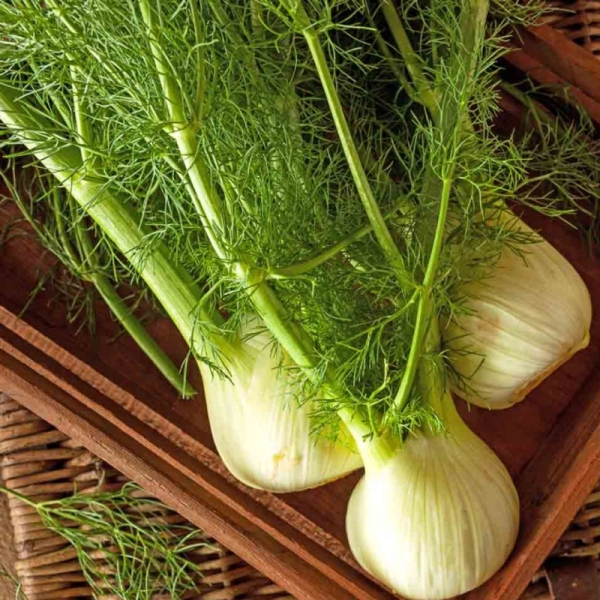 Édeskömény Romanesco BIO