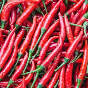Chili paprika Cayenne Long Slim BIO