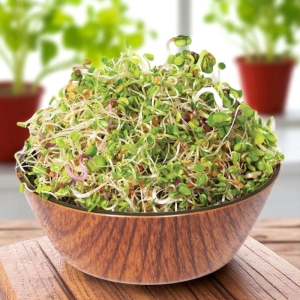 Lucerna csíramag (100 gr)