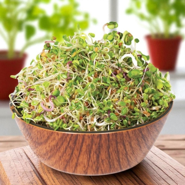 Lucerna csíramag (100 gr)