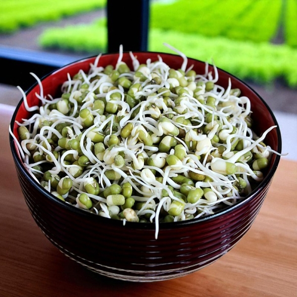Mungóbab csíramag (100 gr)