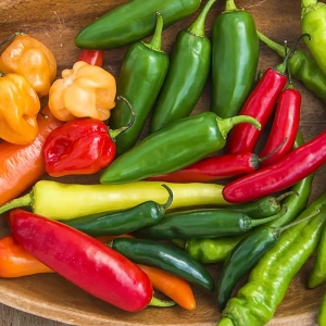 Paprika