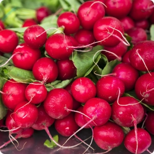 Retek Cherry Belle BIO