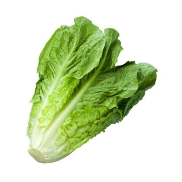Római Saláta Verde degli Ortolani BIO