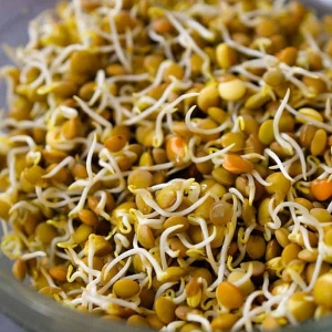 Zöld lencse csíramag (150 gr)