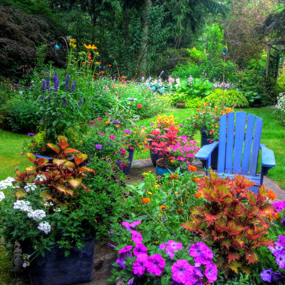 A 3 Órás Kert PILLANGÓK KERTJE vetőmagcsomag