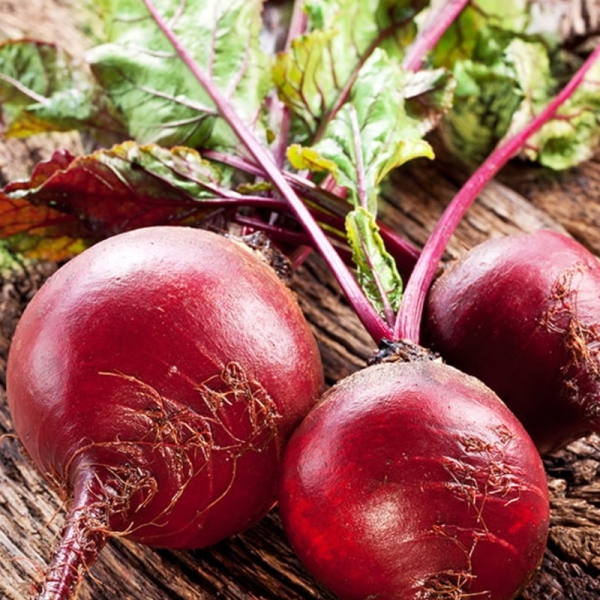 Cékla Rote Kugel 2 80 g