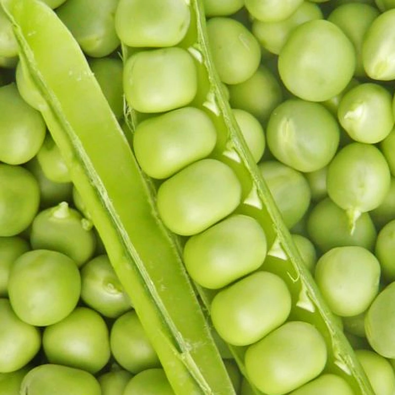 Kifejtőborsó Rajnai Törpe - 250 gr