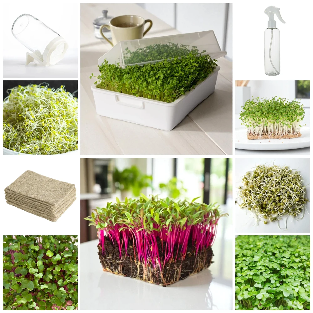 A 3 Órás Kert Konyhakert az ablakban csomag