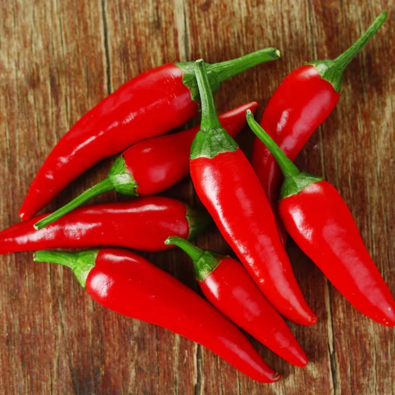 Chili paprika Jalapeno M