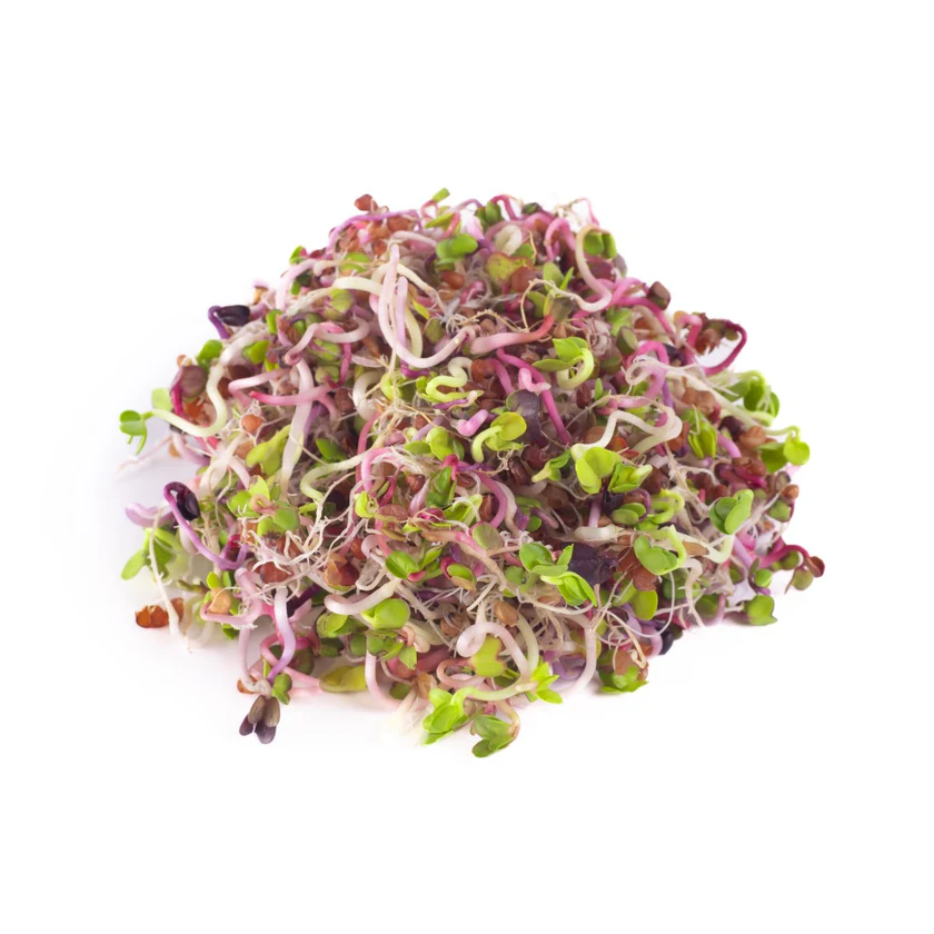Retek Színvarázs csíramagkeverék (150 g)